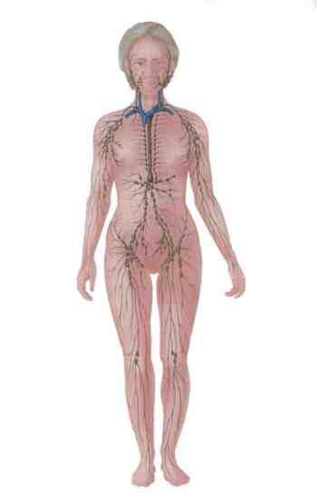 Pitting is a result of a Lymphatic System that is FAILING